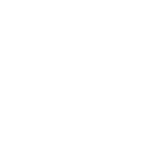 Custom Synthesis